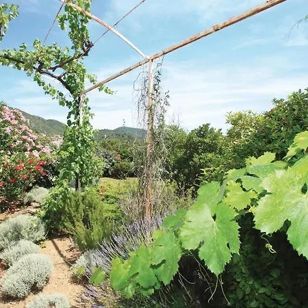 בית נופש 4 Bedroom Awesome In Roquebrun